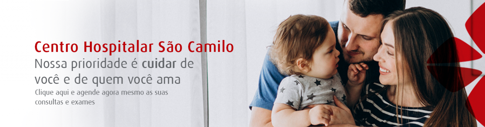Consultas